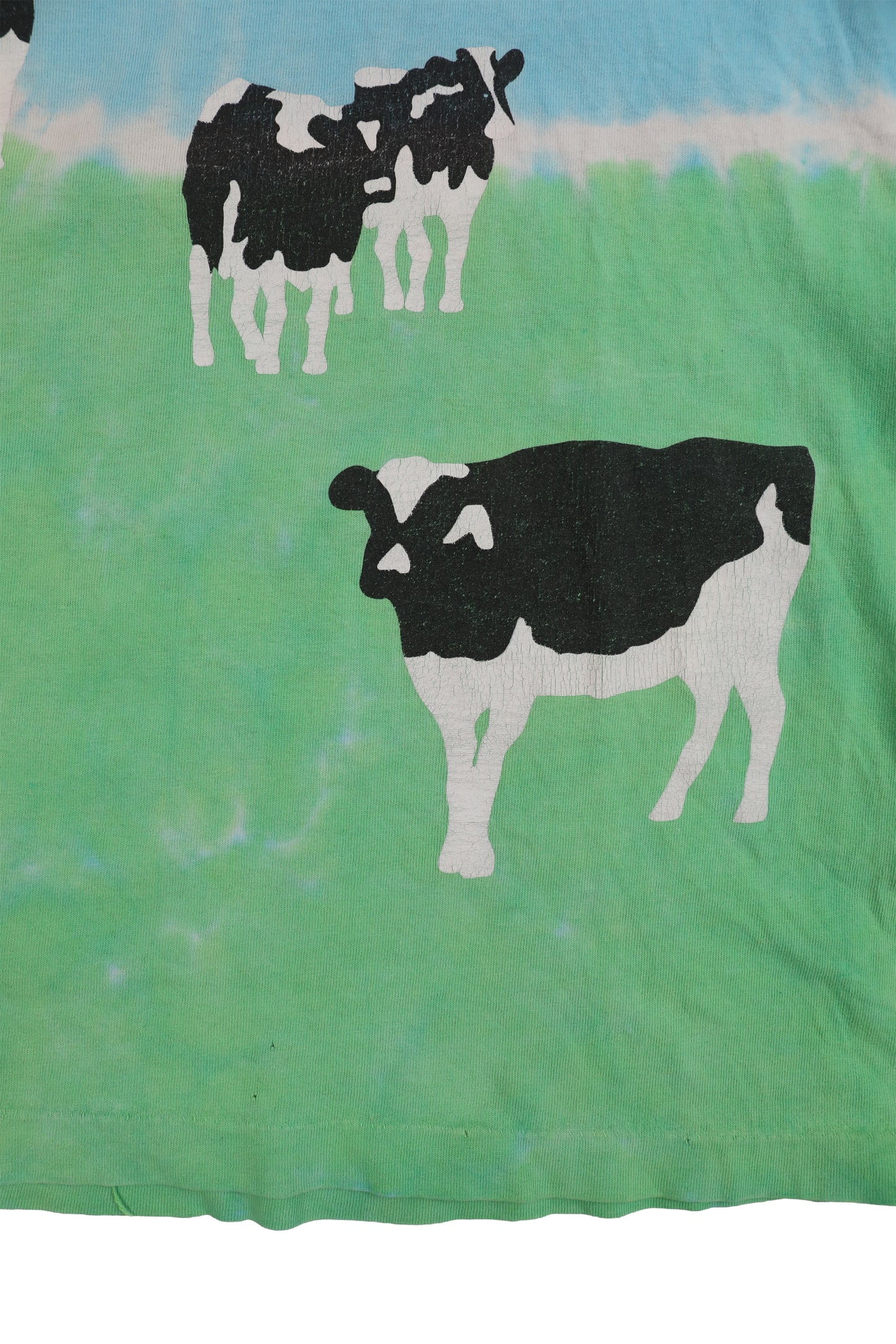 90's Ben & Jerry's "Euphoria" Tee