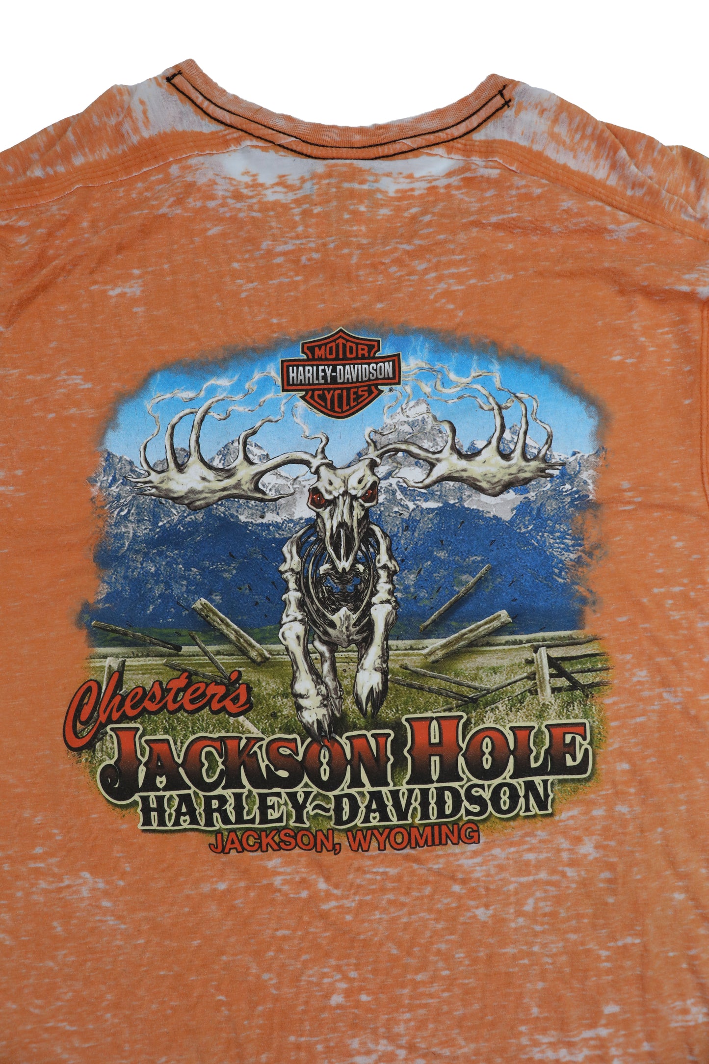 Harley Davidson Orange Distressed Washed Graphic Tee