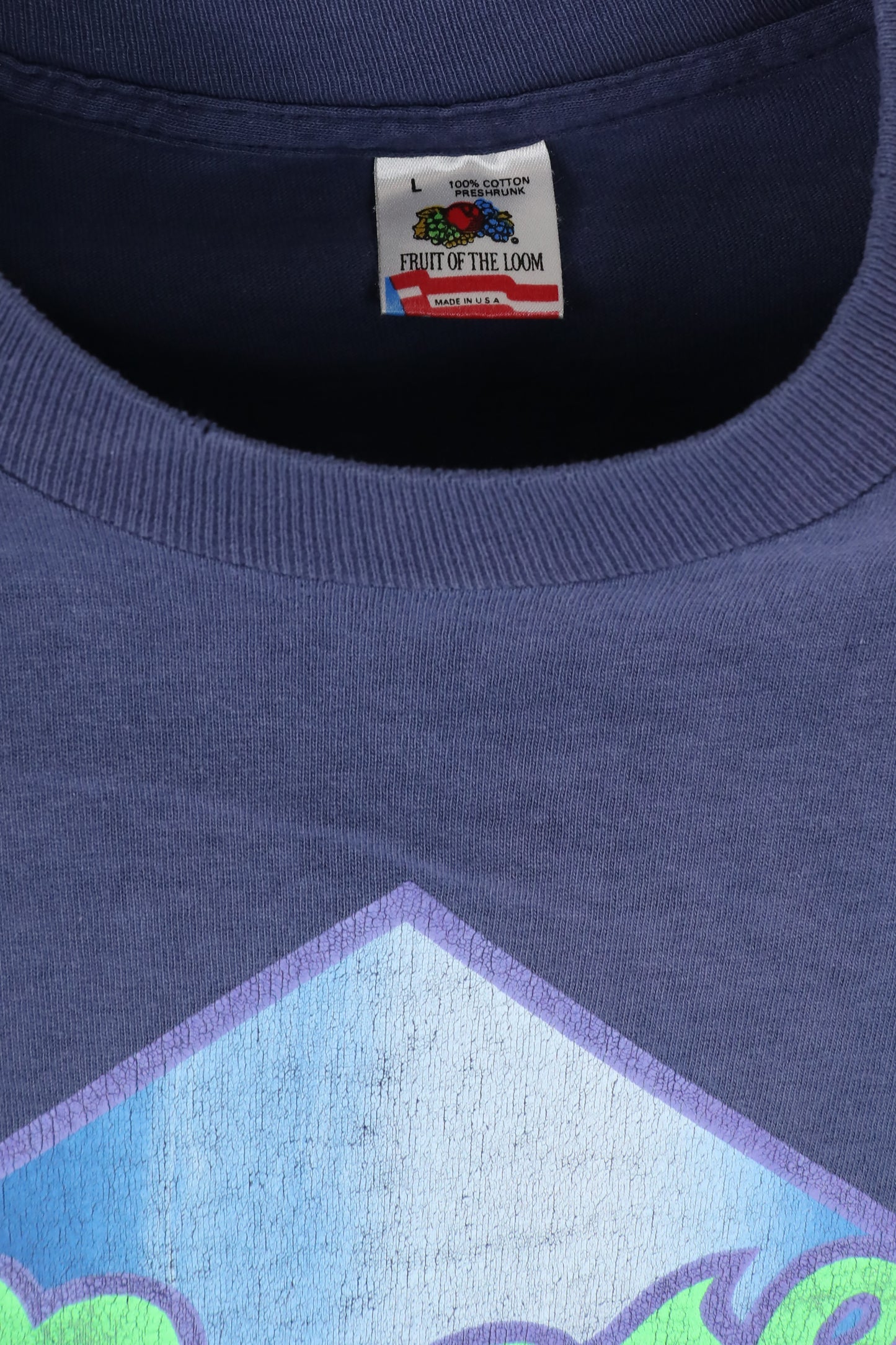 Blue Moose's Graphic Tee