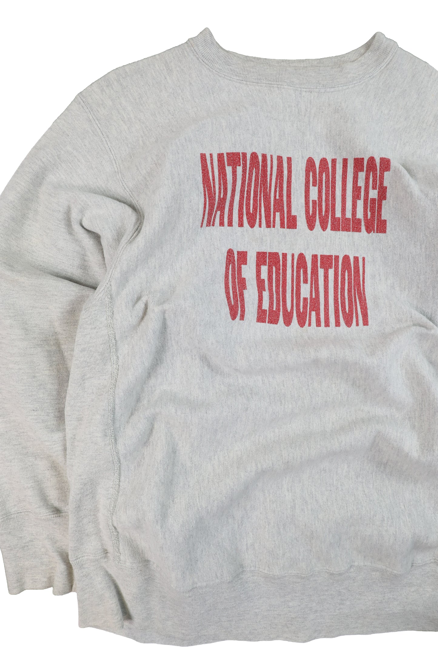 90's Champion National College of Education Reverse Reave Sweater