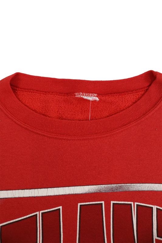 NBA Atlanta Hawks Graphic Sweater