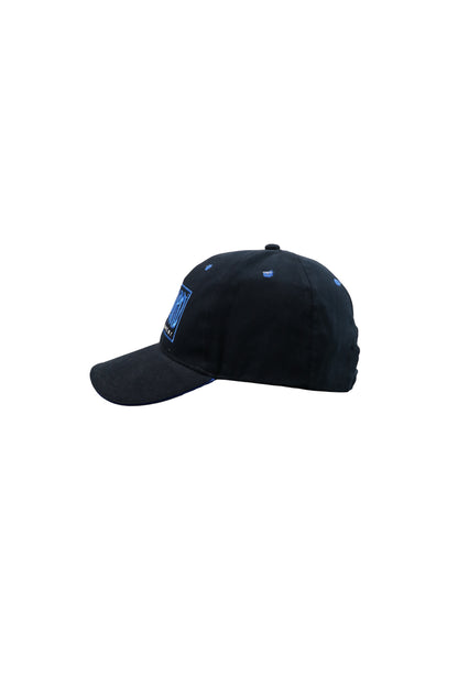 Blizzard Entertainment Navy Cap