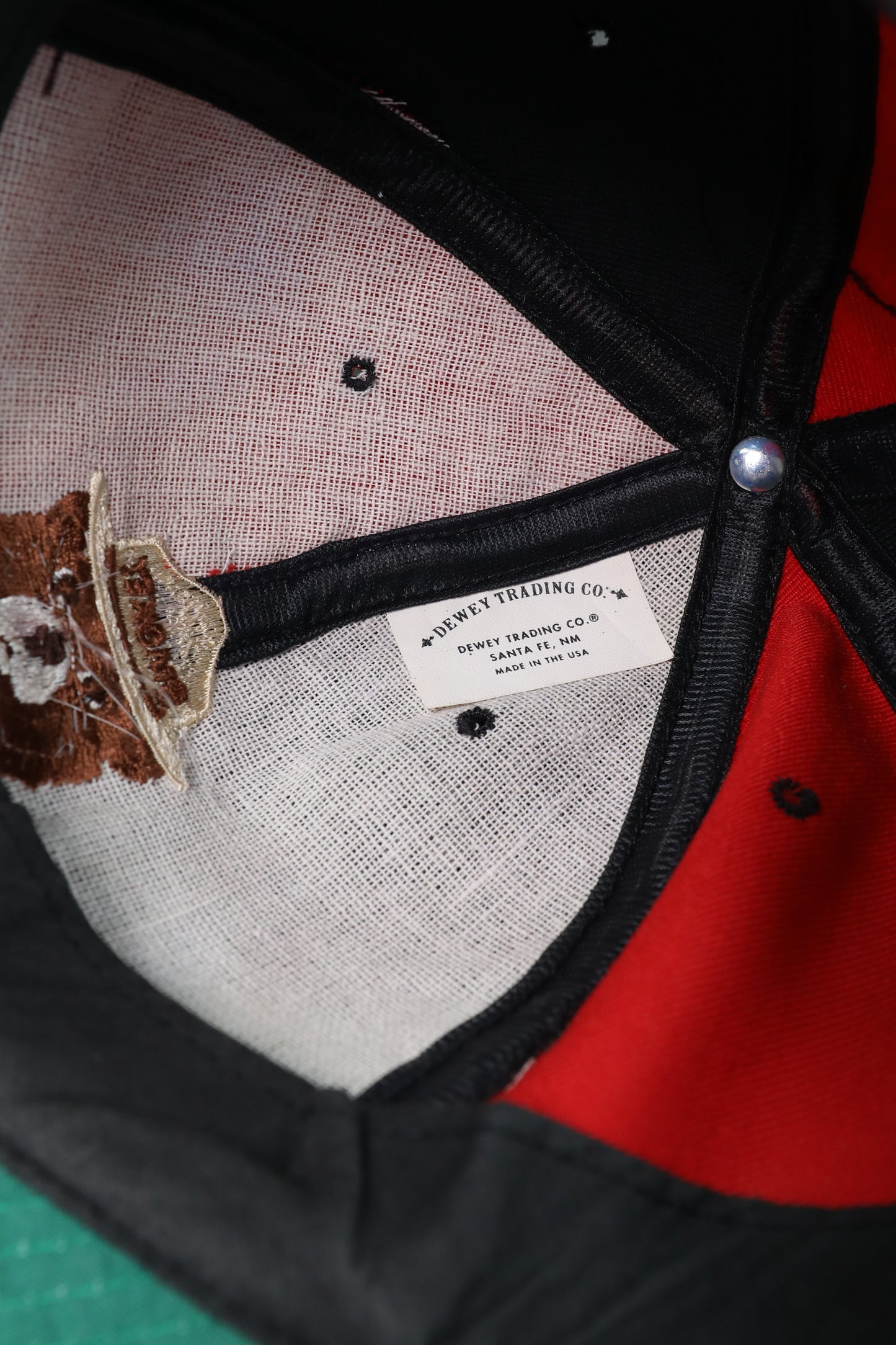 Bear In Mind Colour Block Cap