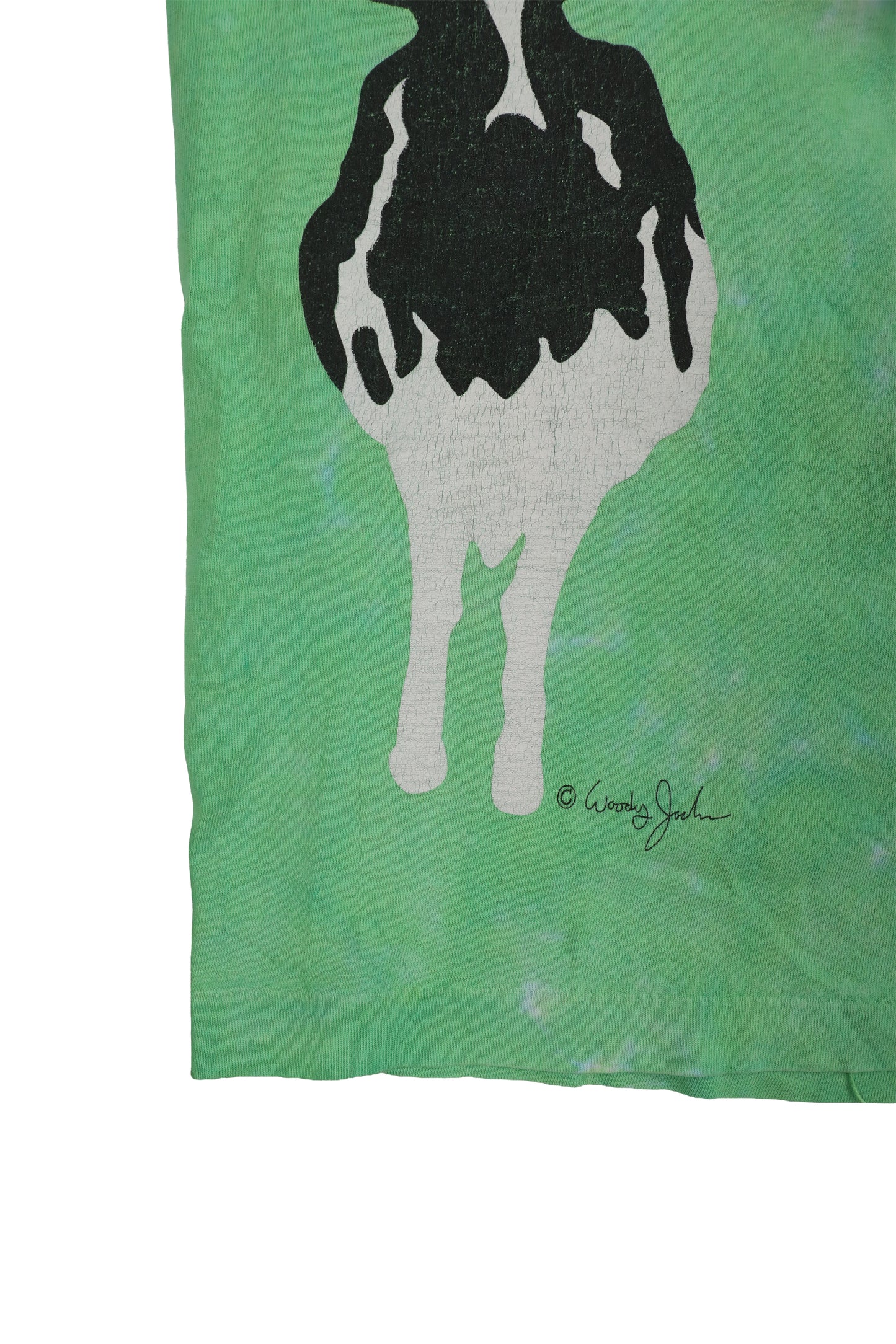 90's Ben & Jerry's "Euphoria" Tee