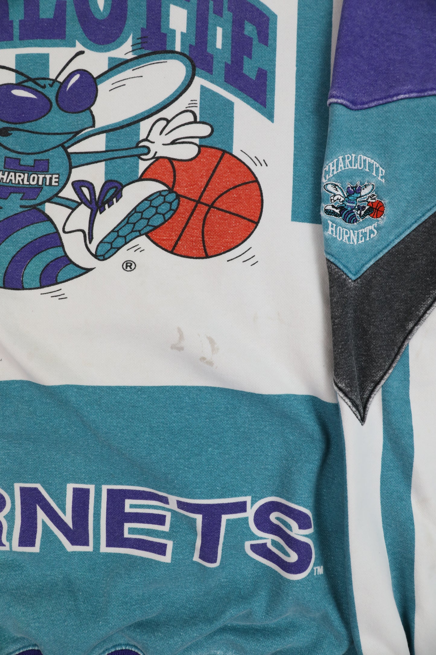 90's Nutmeg NBA Charlotte Hornets Crewneck Sweater