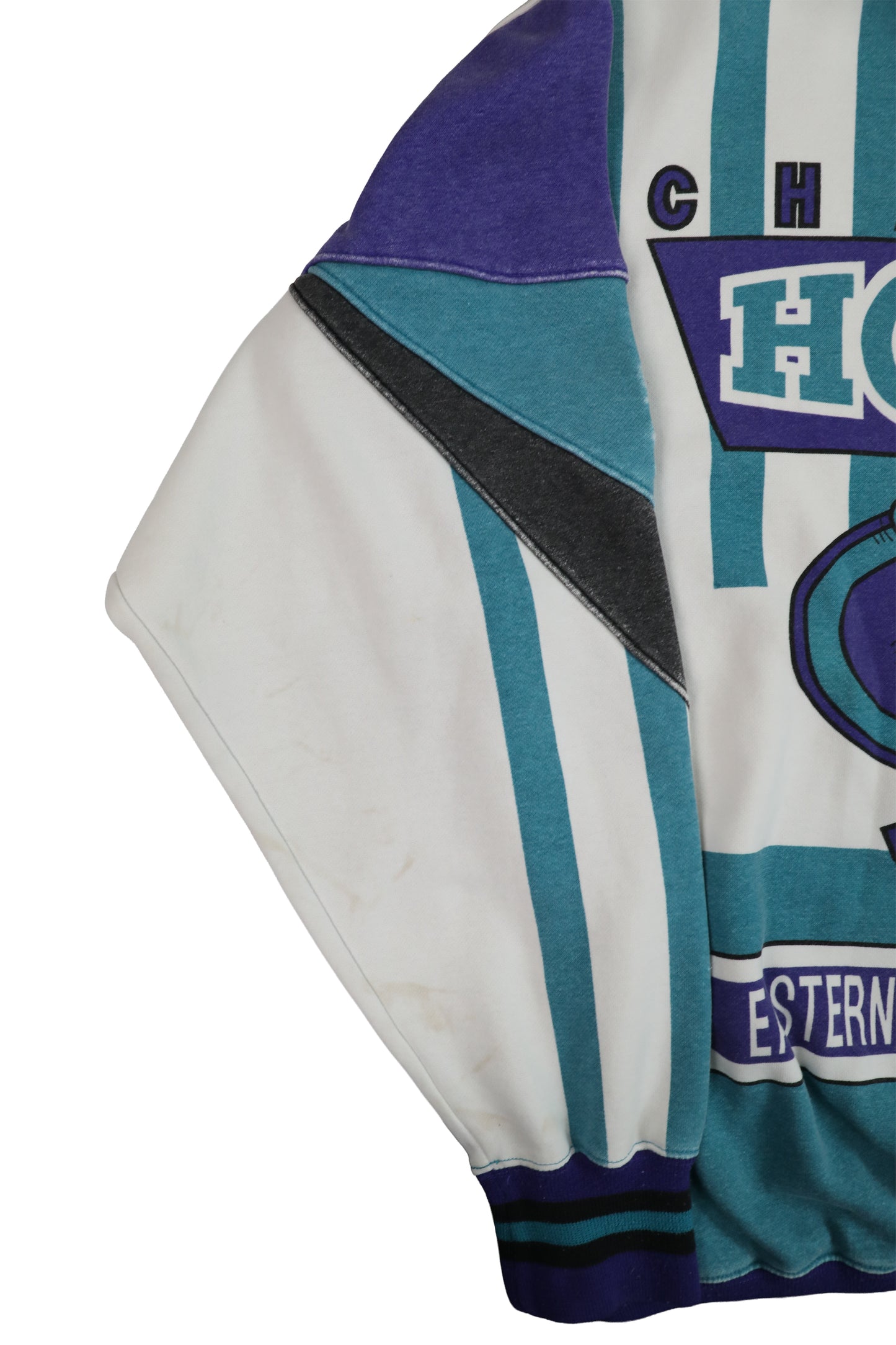 90's Nutmeg NBA Charlotte Hornets Crewneck Sweater