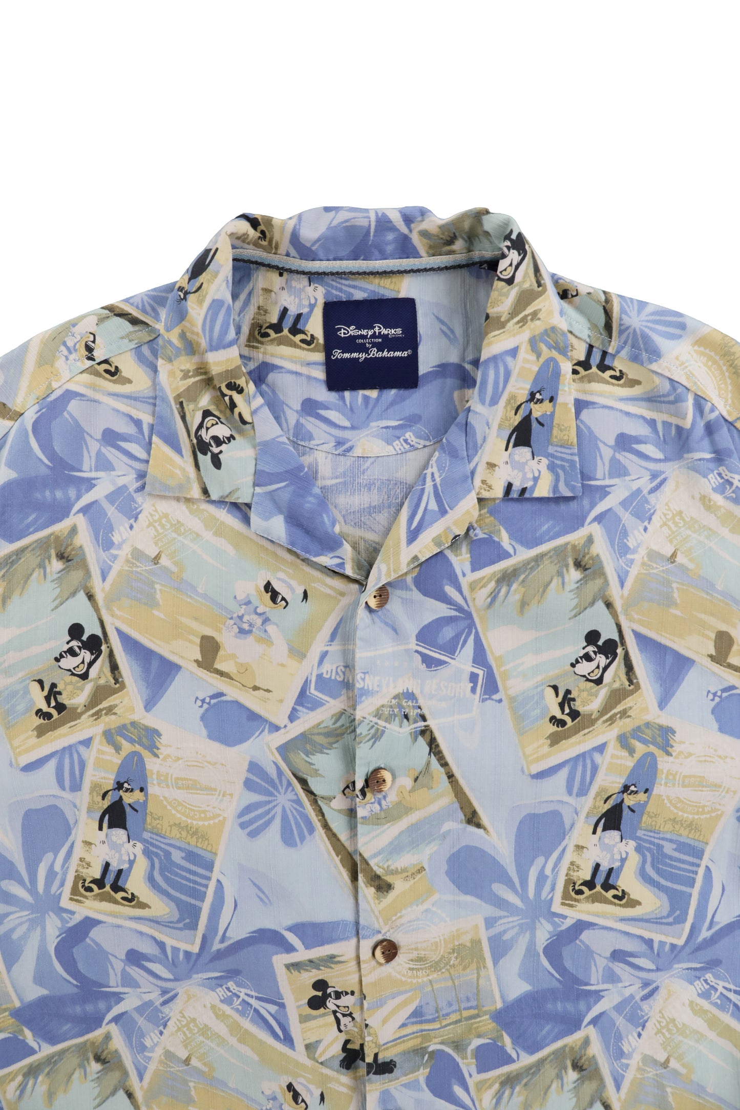 Disney Patterned Graphic Shirt