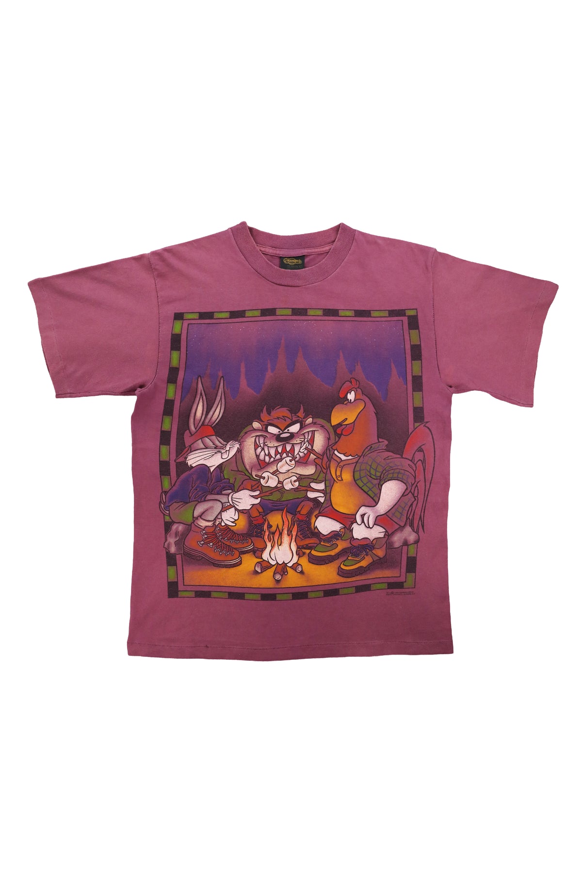 90's Looney Tunes Taz Campfire Graphic Tee
