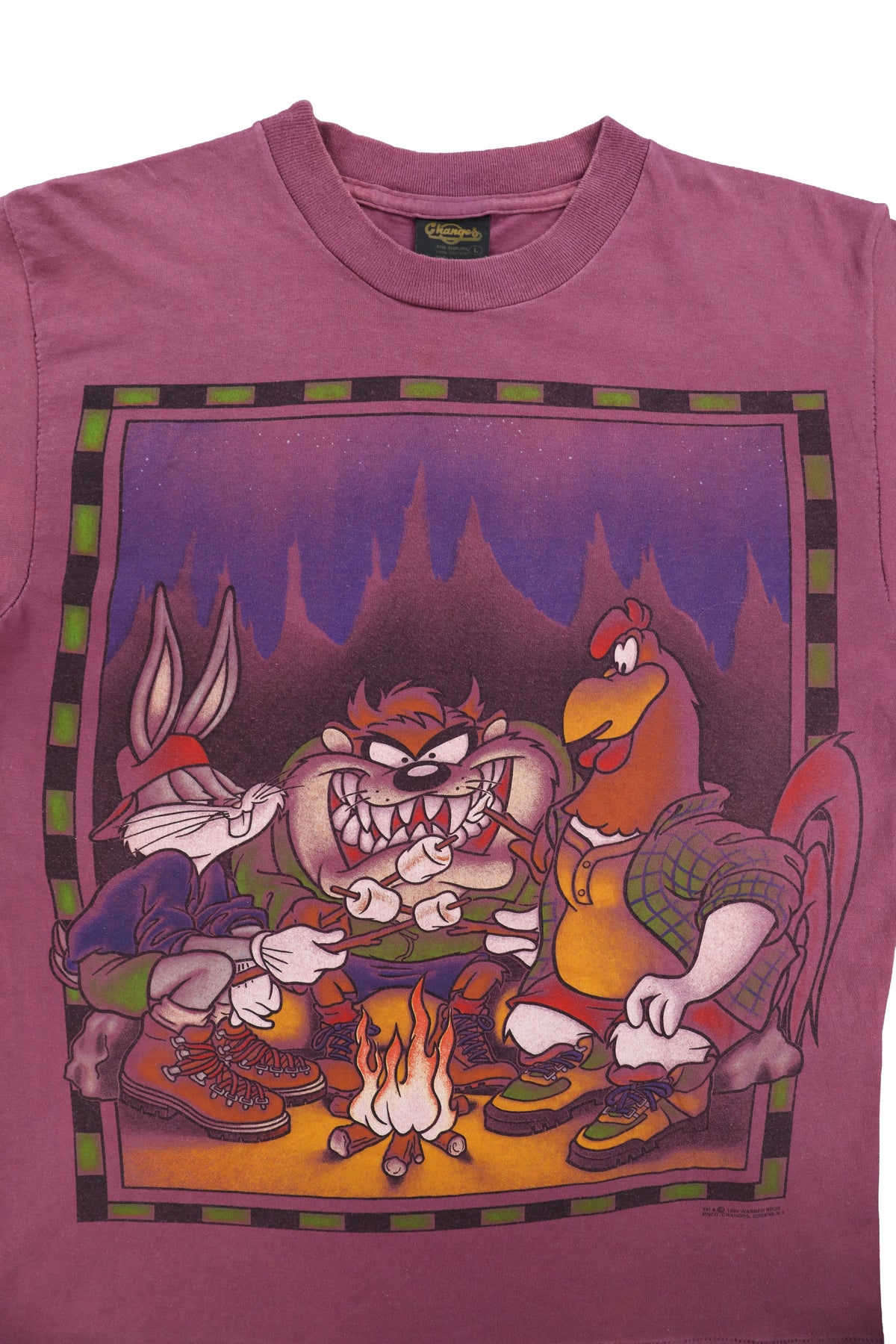90's Looney Tunes Taz Campfire Graphic Tee