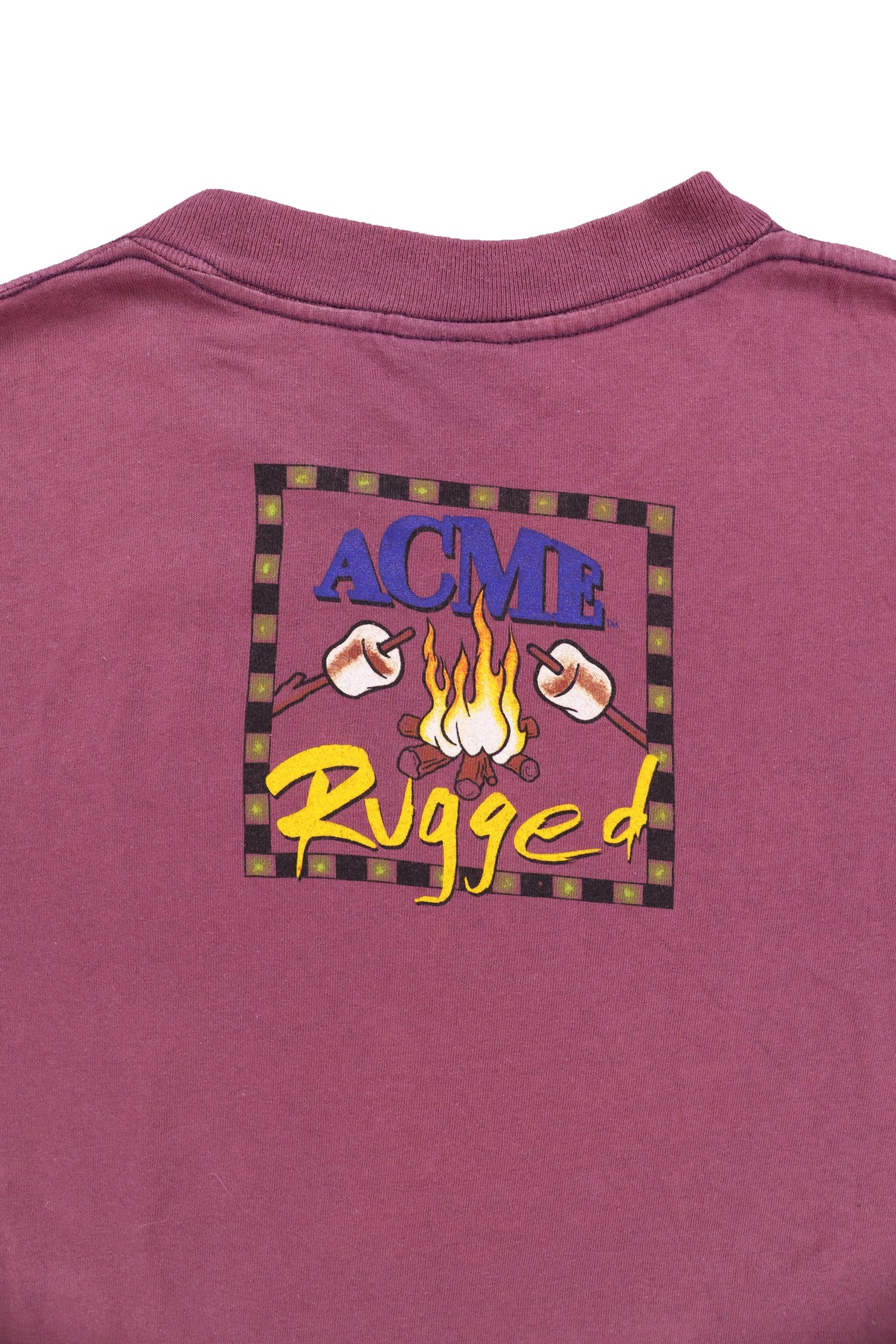 90's Looney Tunes Taz Campfire Graphic Tee