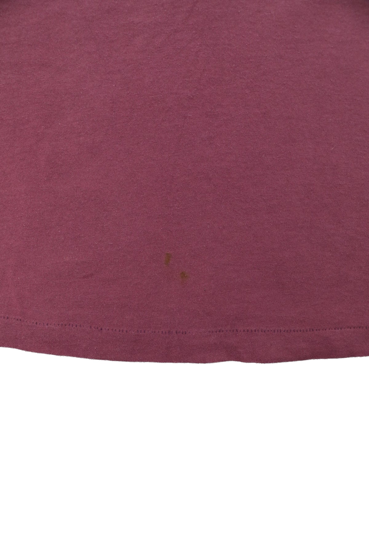 90's Looney Tunes Taz Campfire Graphic Tee