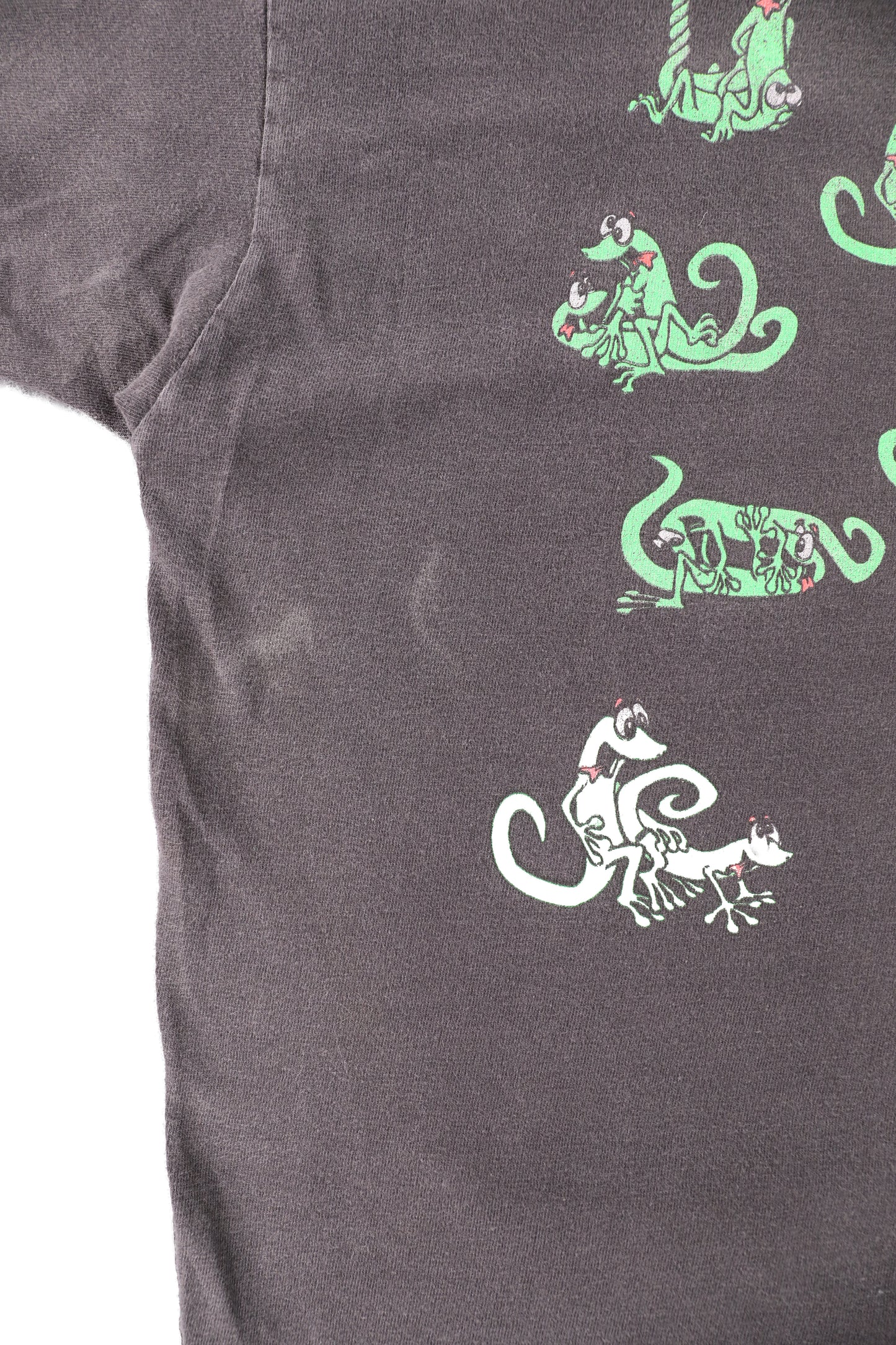 90's Gecko Hawaii ''Gecko Power" Graphic Tee