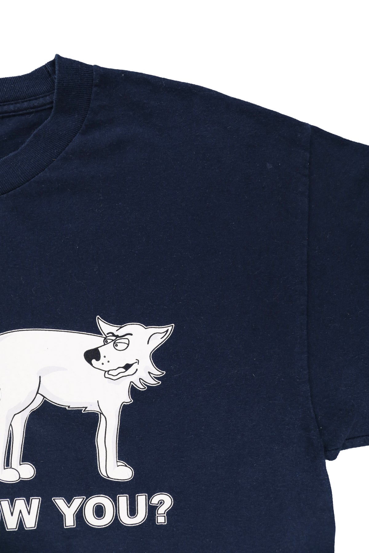 Dog "Do I Know You?" Graphic Tee